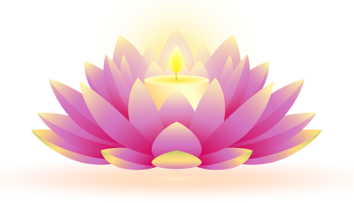 Lotus Picture